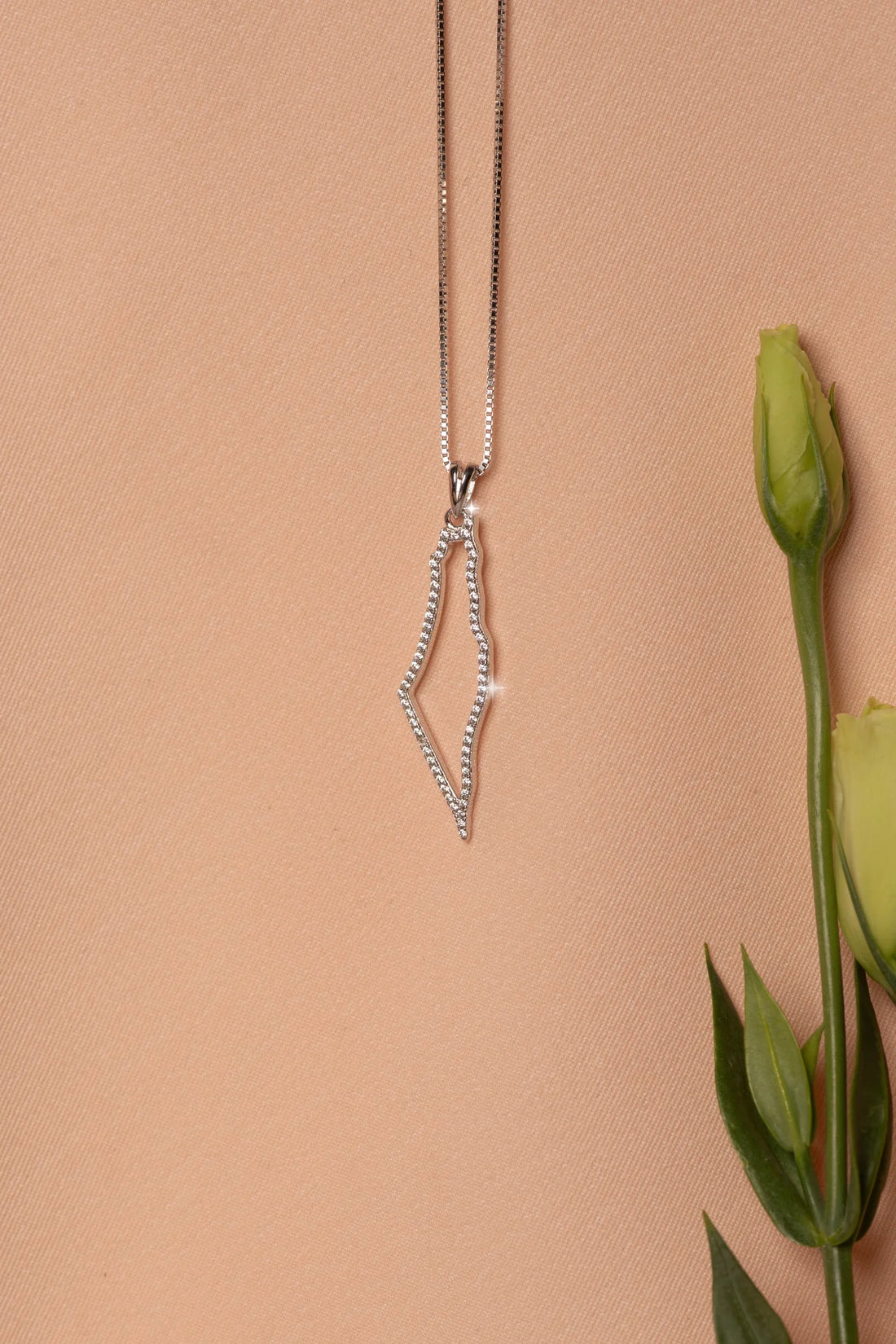 TCB necklace: Palestine map frame with cubic zirconia stones-Silver