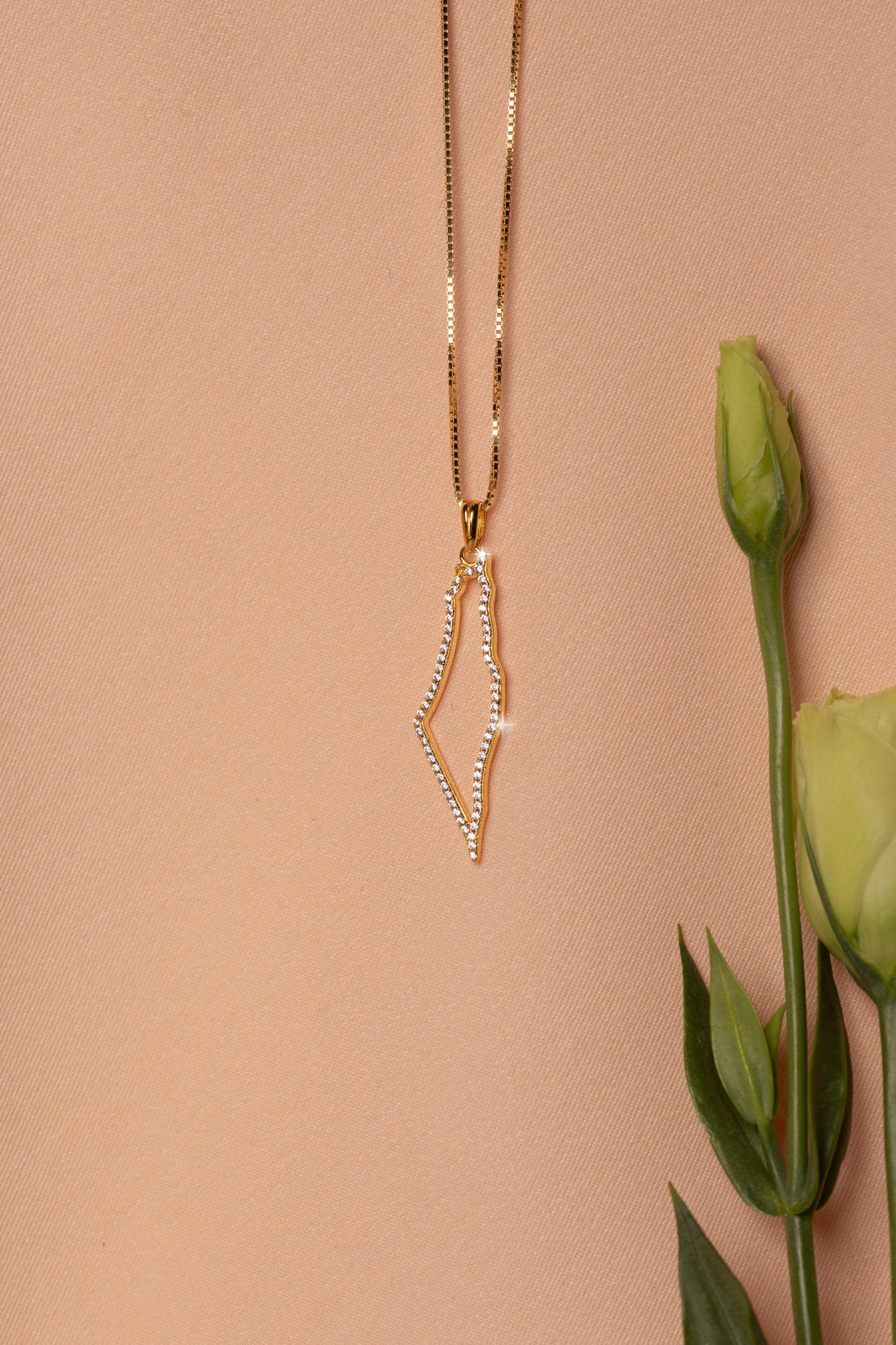 TCB-Necklace: Palestine map frame with cubic zirconia stones-Gold