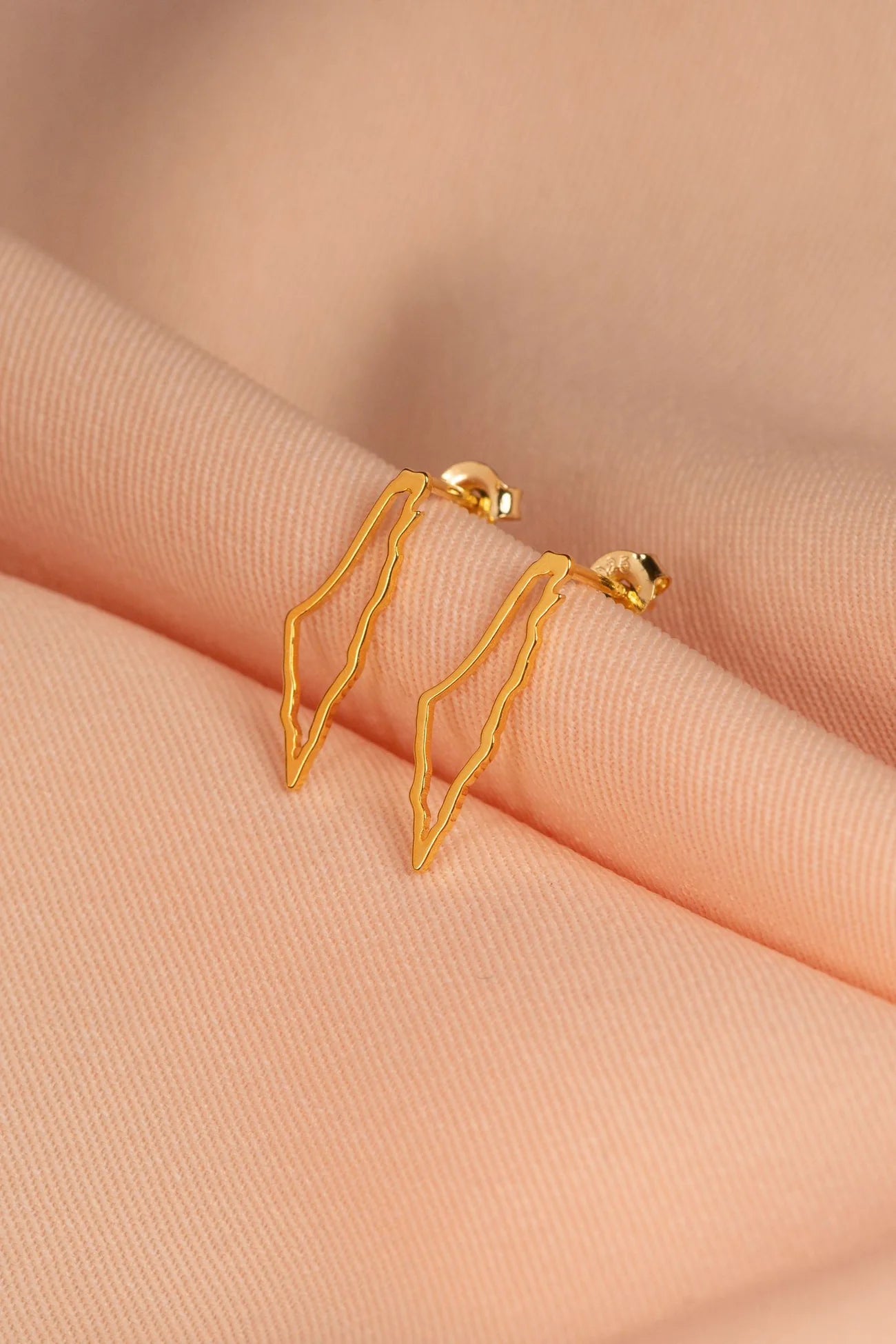 TCB Earrings: Palestine map frame-Gold